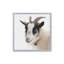 «Pippa The Goat IV» par Deborah Revell, reproduction d'art-2060087320-2060087325