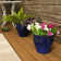 Ailynn Round Imperial Ceramic Outdoor Planter