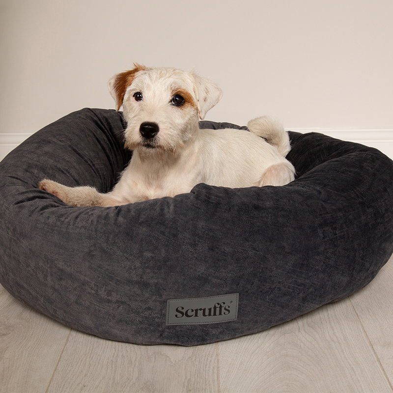 Polyester Pet Bed, Grey, Extra Extra Large (40kg and more)