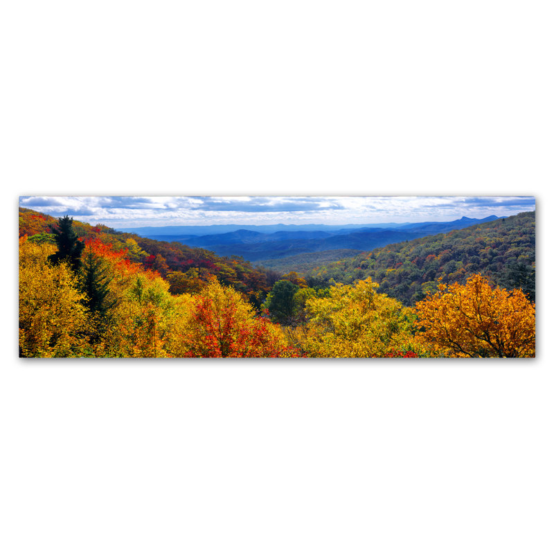 Schoodic «Autumn Forest», reproduction de photo sur toile tendue, H 16 po x l 47 po