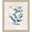 Underwater Botany S/4