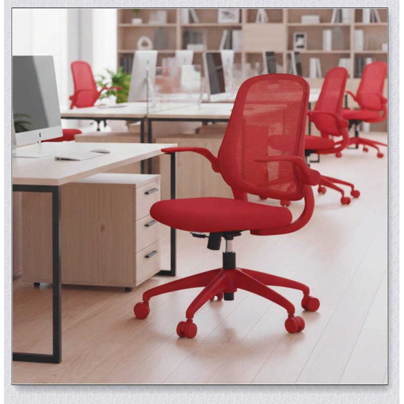 Chaise de bureau ergonomique avec dossier en maille, mousse intégrée, accoudoirs rabattables et capacité de charge de 159 kg pour une utilisation confortable à la maison ou au bureau.