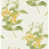 Yellow/Green