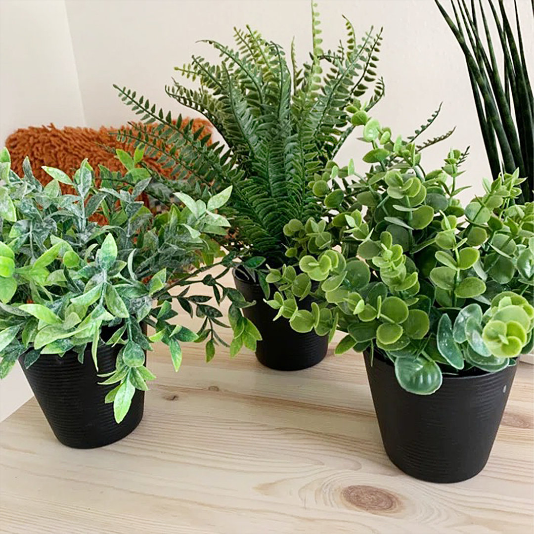 Combs Artificial Eucalyptus Decorative Plants in Pot (Set of 3) Primrue