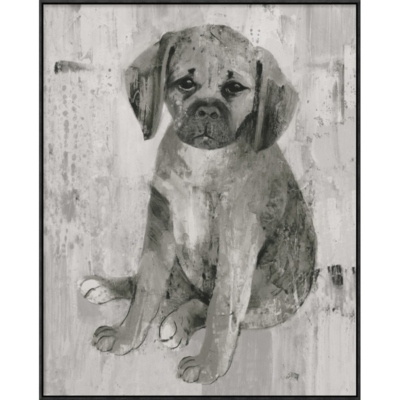 " Paco " by Albena Hristova, 20" H x 16" W, Wrapped Canvas, No Mat