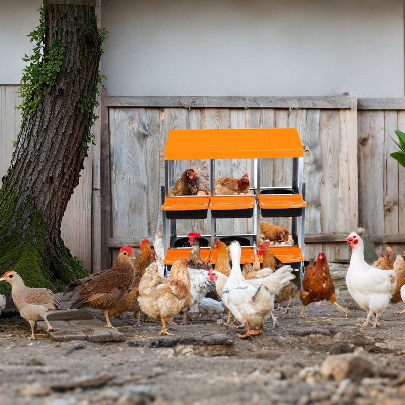 Nesting Boxes