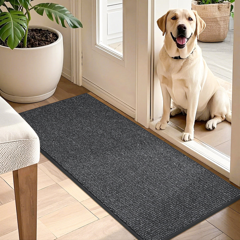 Bukvice Non-slip Washable Door Mat, Dark Gray, 20" W x 48" L