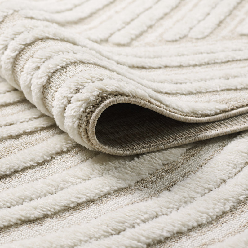 Tapis à poils longs Ruprecht, Rectangle 5 pi 7 po x 7 pi 3 po