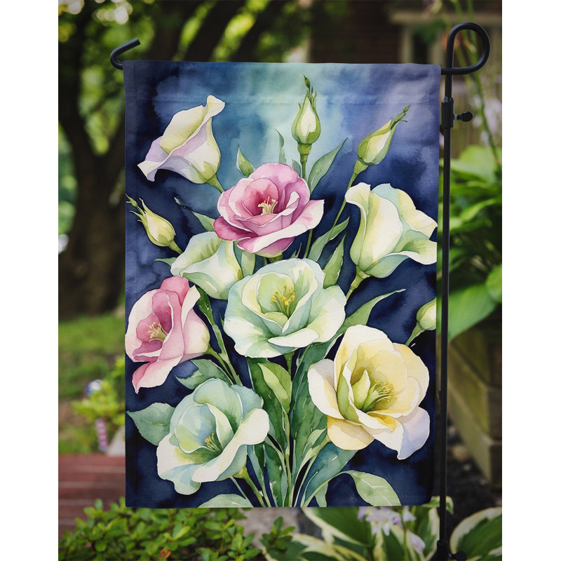 Orchidées paphiopedilum, drapeau du jardin, Lisianthus