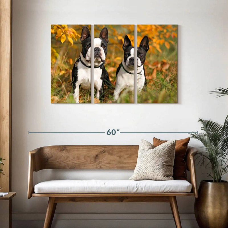 Boston Terrier Couple, H 28 po x l 45 po