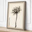 Single Stem in Ink Japandi - Wrapped Canvas-1256949926-1256949968