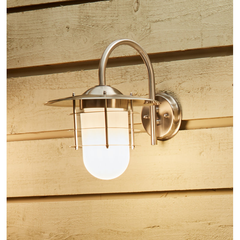 Daggett Frosted Glass Outdoor Wall Lantern, Steel