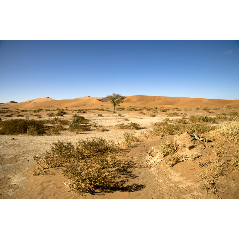 Paysage de désert sec par Mlenny, H 8 po x l 12 po