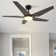 Alcie 5 - Blade LED Smart Standard Ceiling Fan with Remote Control and Light Kit Included