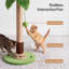 40 cm H Cat Scratchers