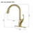 Boyel Living Pull Down Spray Kitchen Faucet-94335220