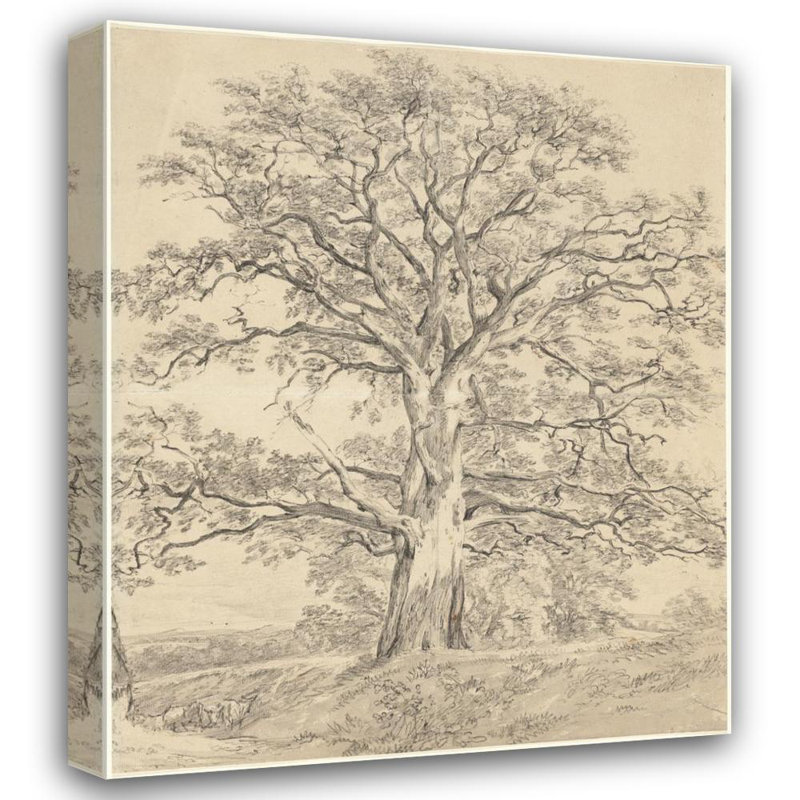 «A Great Oak Tree» par John Constable - Art mural sur toile tendue avec châssis, H 18 po x l 14 po