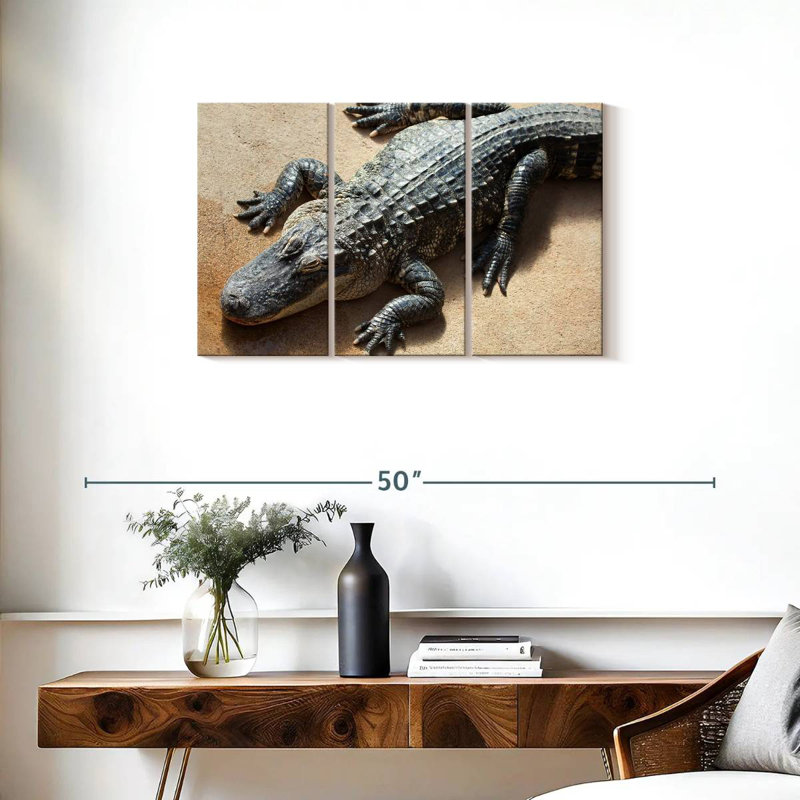 Alligator, 20" H x 33" W