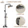 Steampunk Pressure Balanced Complete Shower System with Clawfoot Control Handle and Rough-in Valve