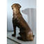 Statue de retriever en bronze Nifao - sculpture de chien grandeur nature d'intérieur / extérieur, coulée de cire, pose réaliste assise avec texture détaillée, jardin, vestibule et décoration intérieure Tribute28 x 19 po x 31 po