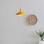Cisco 1 - Light Single Pendant-435184997