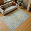 Tapis abstrait lavable à la machine intérieur / extérieur ACN2310-1219572491