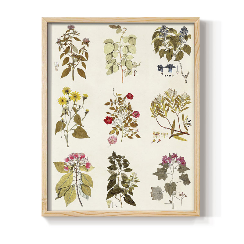 Antique Floral Grid I Framed Print - Solid Wood