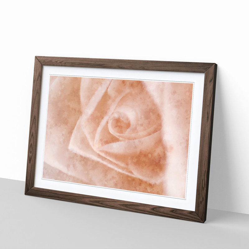 Light Pink Rose - Picture Frame Graphic Art Print, 62cm H x 87cm W x 2cm D, Walnut Framed