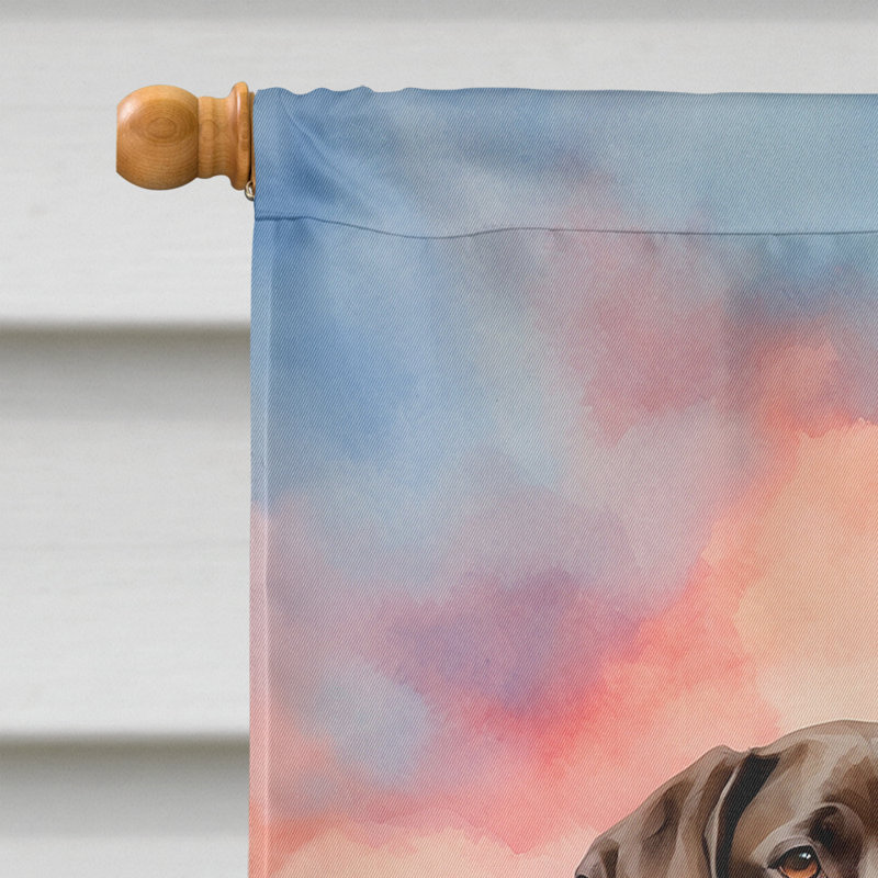Drapeau pour chien double face H 40 po x l 28 po