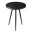 Isaac Tray Top End Table