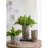 Durable Cement Rustic Style Fillmore Planter For Indoor/outdoor Elegance