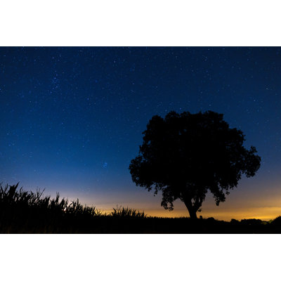 Starry Night Landscape - Wrapped Canvas Print