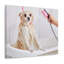No Frame Print on Canvas-762100136