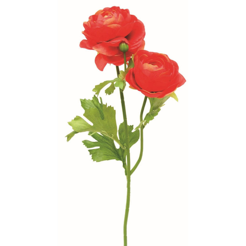 Ranunculus Arrangement, Red
