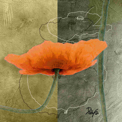 Coquelicots orange VI