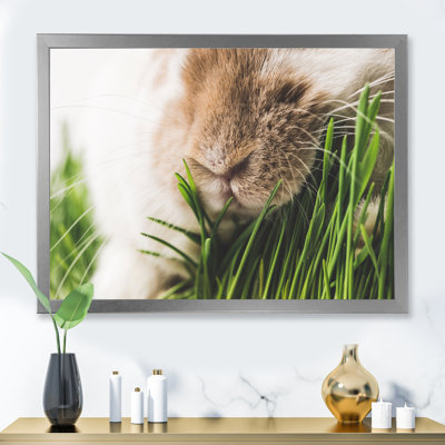 " Closeup View Of Rabbit Nose And Green Grass Stems " Painting Print