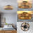 Tamarea 19.6'' Ceiling Fan with Light Kit
