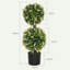 90cm Plant
