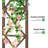 60'' X 78' 'Wooden Garden Arbor