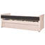 Raemon Upholstered Storage Bed-1734189550