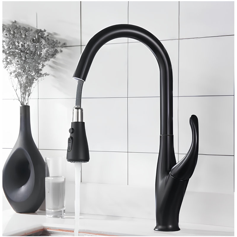 Robinet de cuisine Lisse-Black Tulip