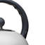 Living Nostalgia 1.4L Stainless Steel Whistling Stovetop Kettle-38264115