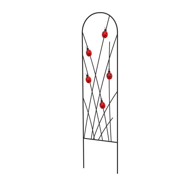 101.6cm H x 24.4cm W Metal Arched Trellis