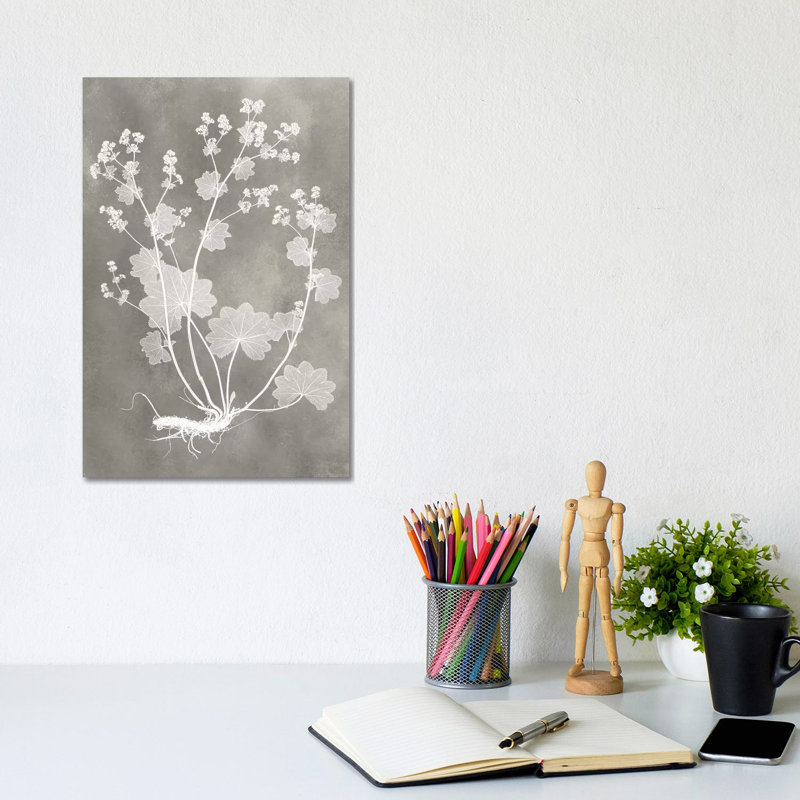 Herbarium Study I - Wrapped Canvas Painting, 20.32 cm H x 30.48 cm W