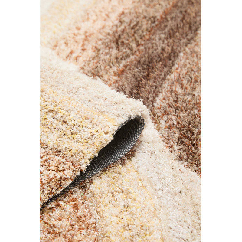 Anyuta 160 cm x 230 cm Area Rug