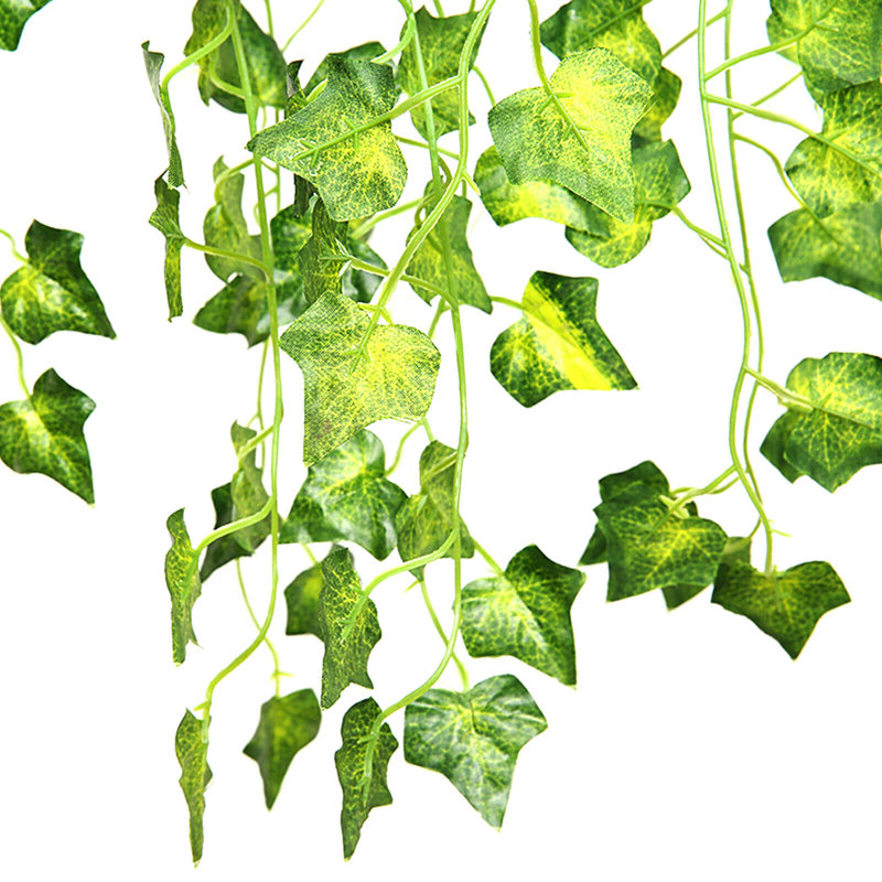 35,4 po plante de feuilles de patates douces