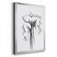 Windswept Poppy I - reproduction d'art sur toile-355898686-355898683