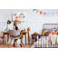 Antine Cork Corkboard / Bulletin Board