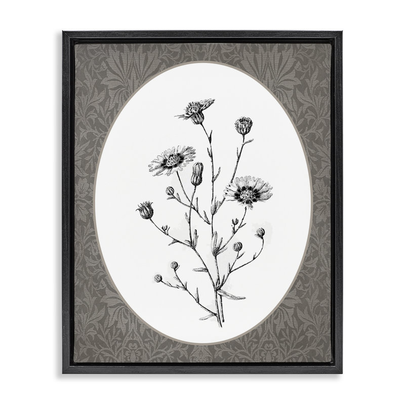 Art mural encadré, "Wild Daisies", Cadre flottant noir de jais, H 21 po x l 17 po
