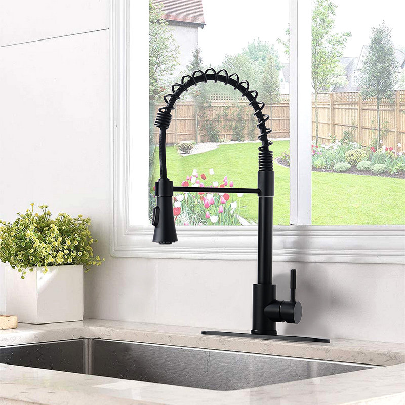 Robinet d'évier de cuisine commercial avec plaque de pont, Noir mat